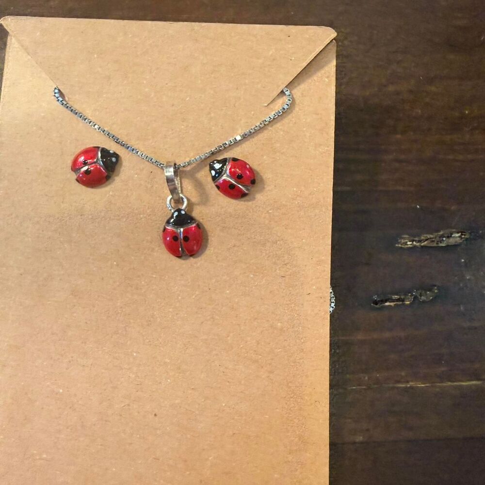 Red ladybug necklace and earrings set